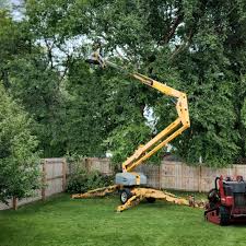 Best Hazardous Tree Removal  in South Berwick, ME