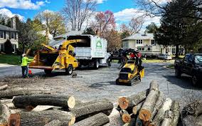 Best Storm Damage Tree Cleanup  in South Berwick, ME
